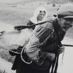 Bauer trägt sein Kälbchen (1943) 