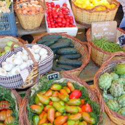 Mediteranes Markt-Gemüse 