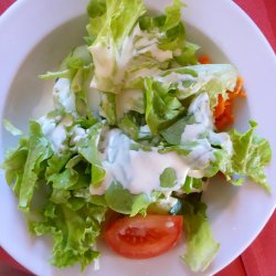 Gemischter Salat mit Joghurtdressing